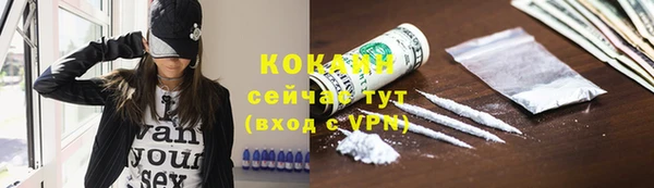 ПСИЛОЦИБИНОВЫЕ ГРИБЫ Вязьма