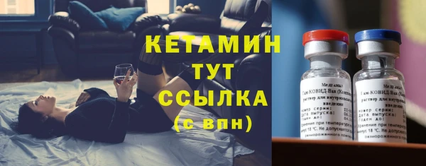 сатива Вяземский