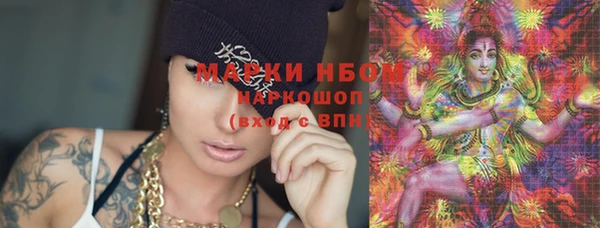 сатива Вяземский